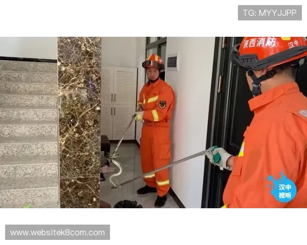 凯发注册登录入口安全升级措施，保障用户账号信息的安全性